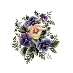 G36 17x25 Gülsün Ülkü Hazır Transfer